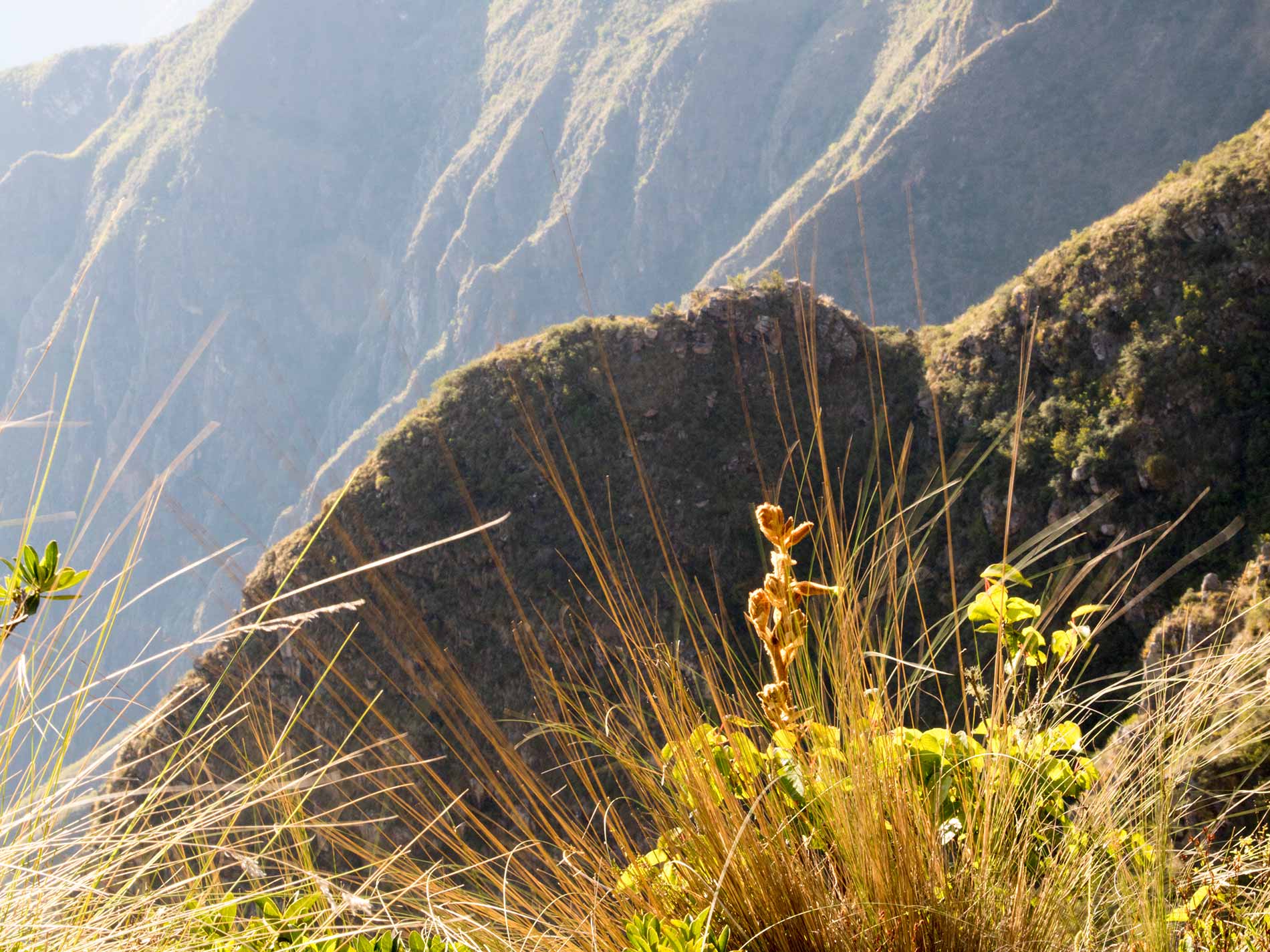Mirador de Cóndores Cañón de Chonta en Cusco