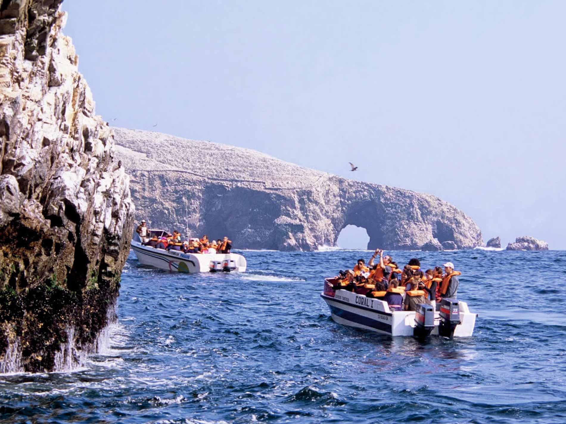 Tour Islas Ballestas y Candelabro desde Paracas 1 Dia