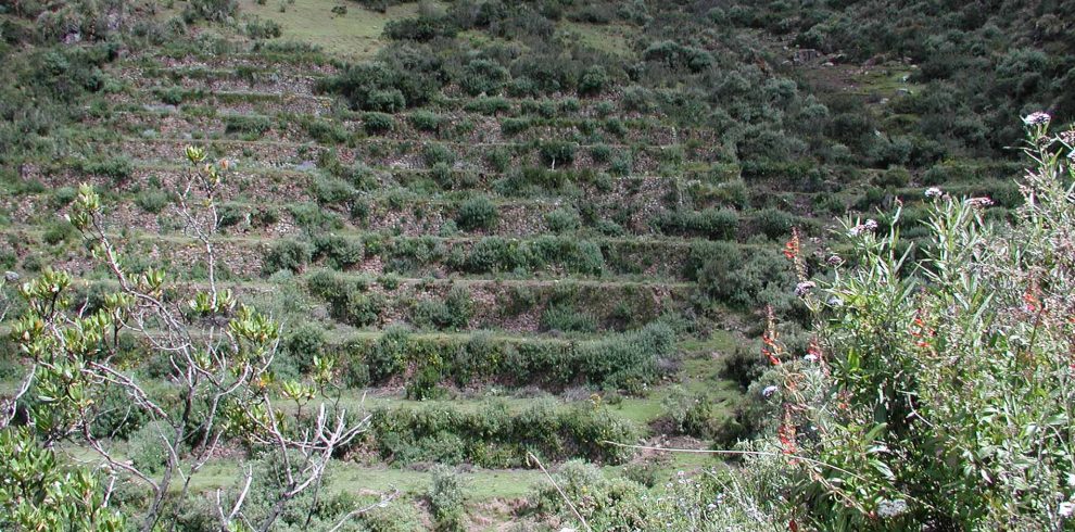 huchuy qosqo (3)