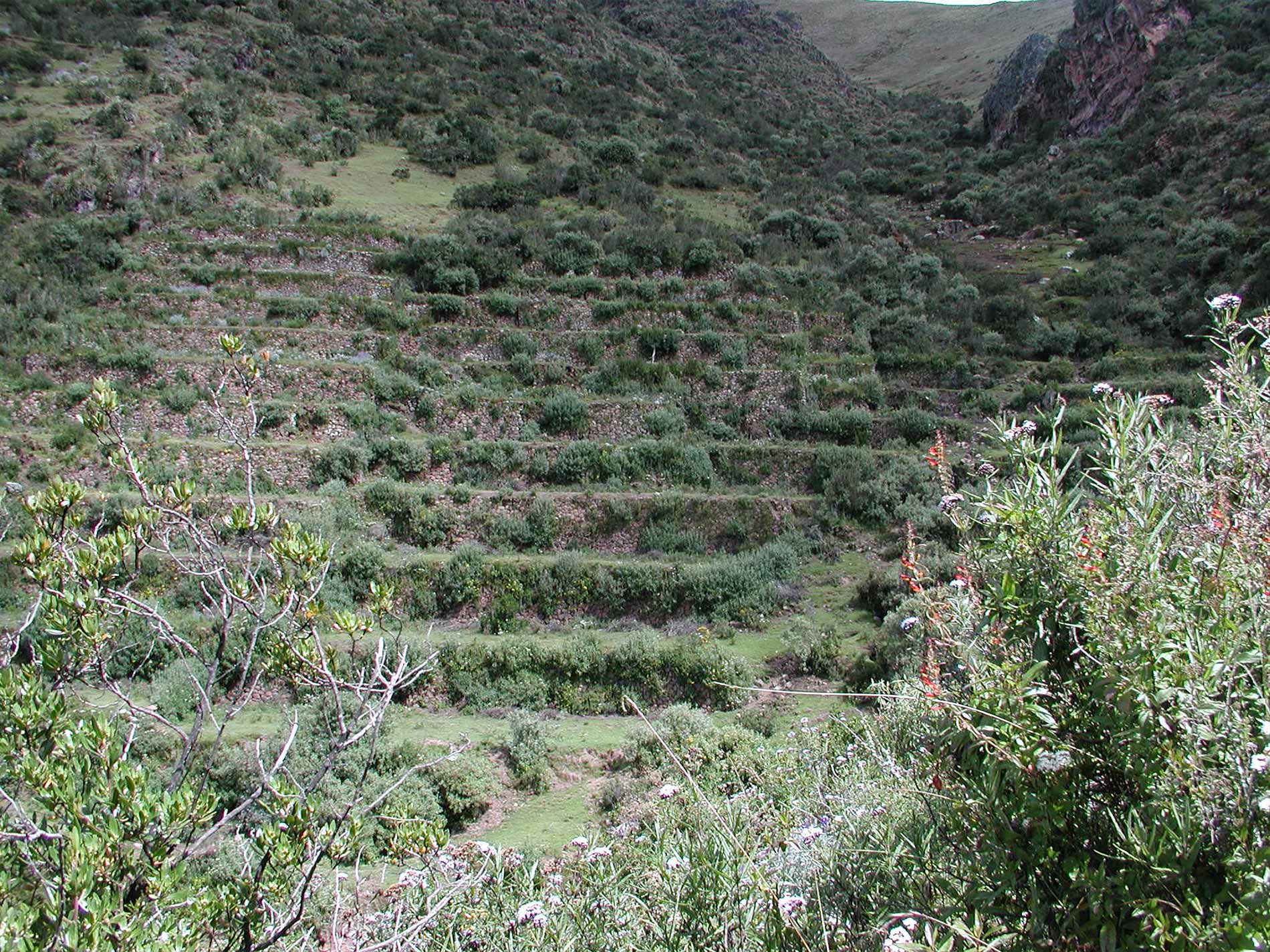Trek Huchuy Qosqo 2 Dias / 1 Noche