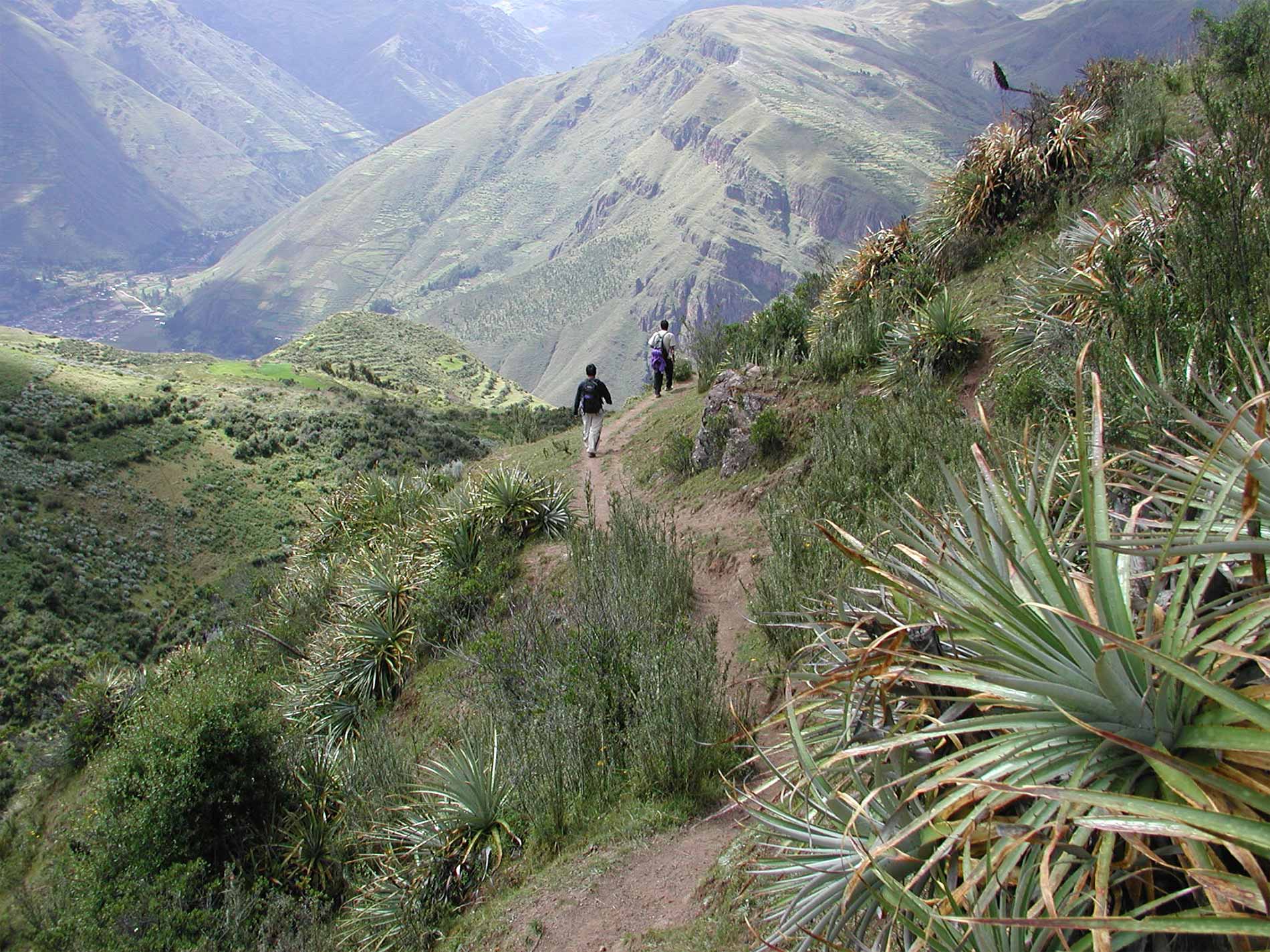 Trek Huchuy Qosqo 2 Dias / 1 Noche