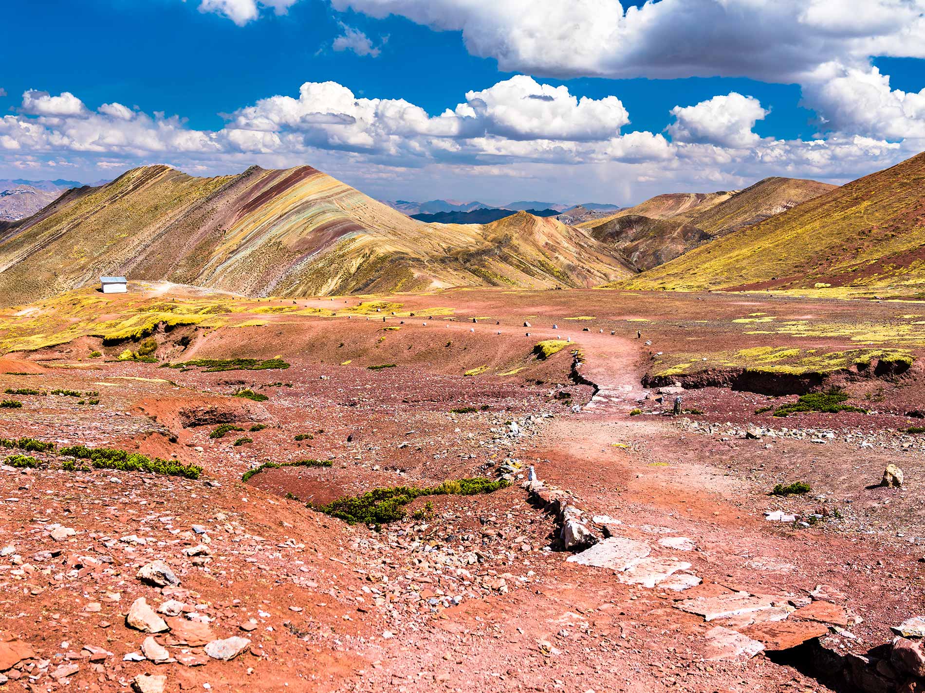 Excursión a la Cordillera Palcoyo
