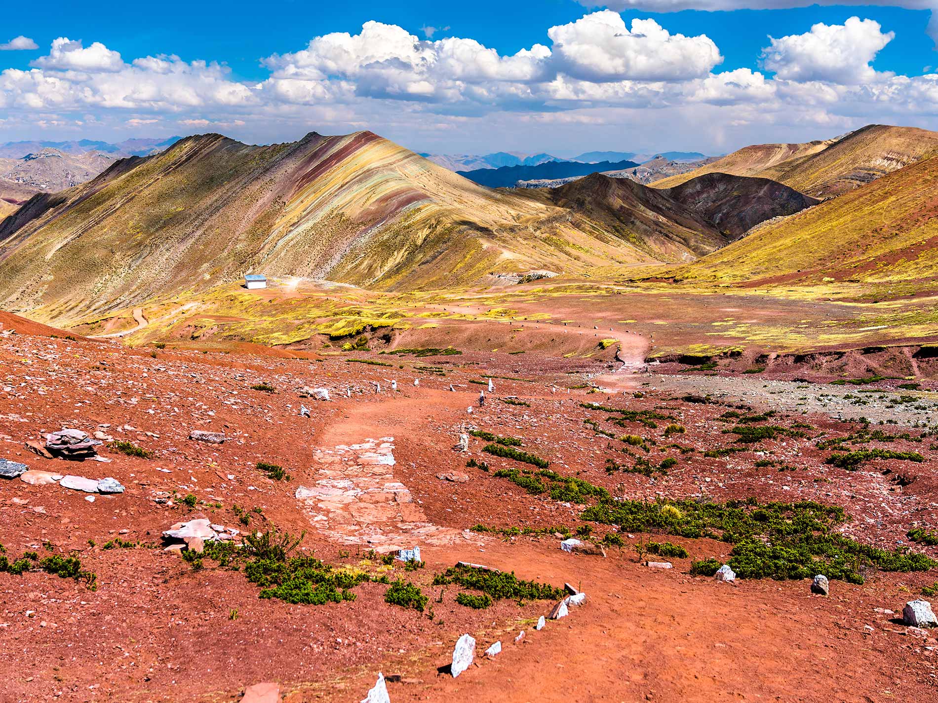 Excursión a la Cordillera Palcoyo