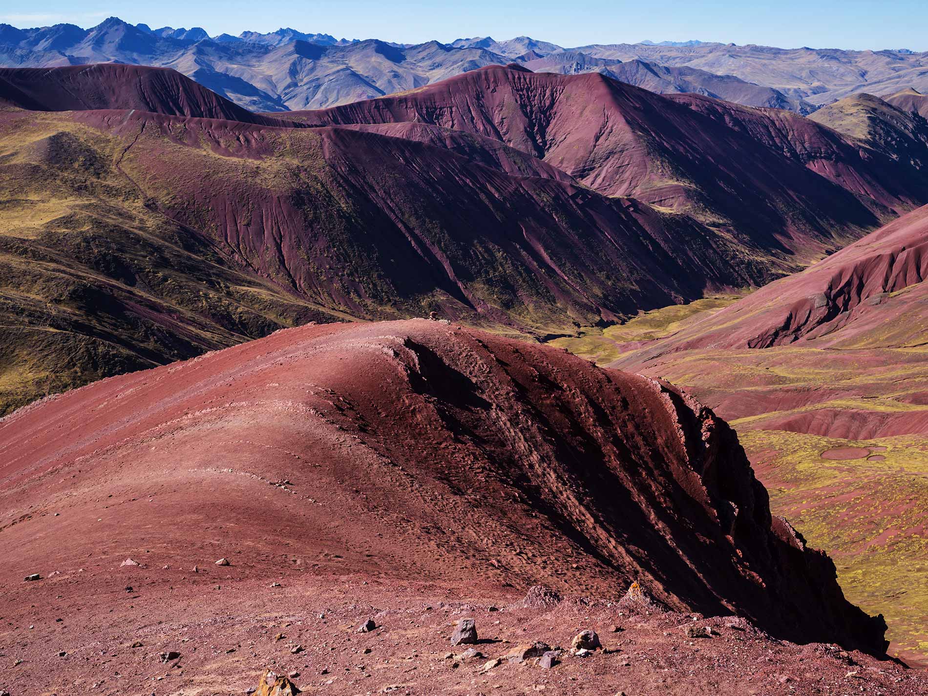 Excursión a la Cordillera Palcoyo
