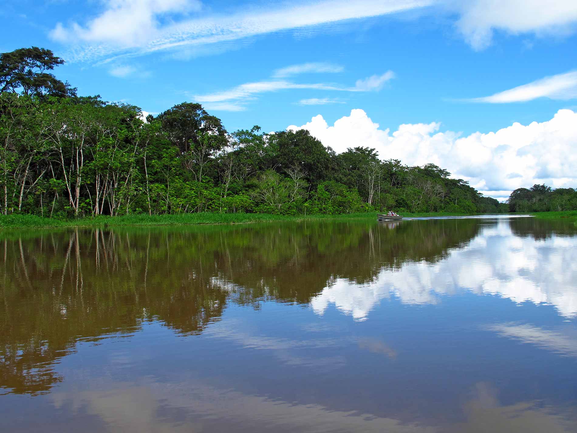 Tour Tambopata 3 Dias