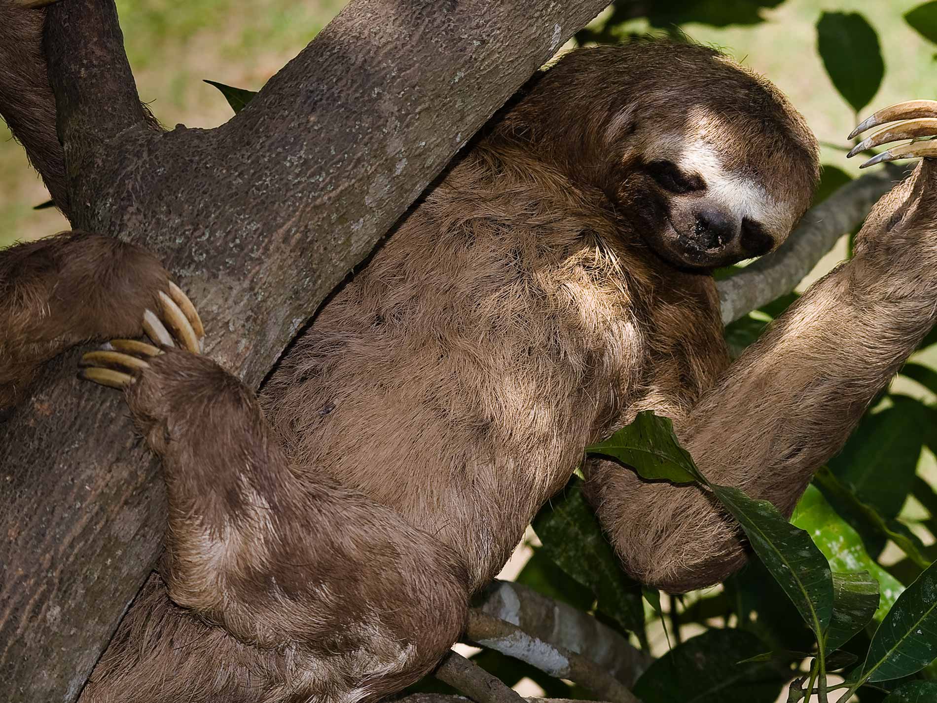 Tour Tambopata 3 Dias