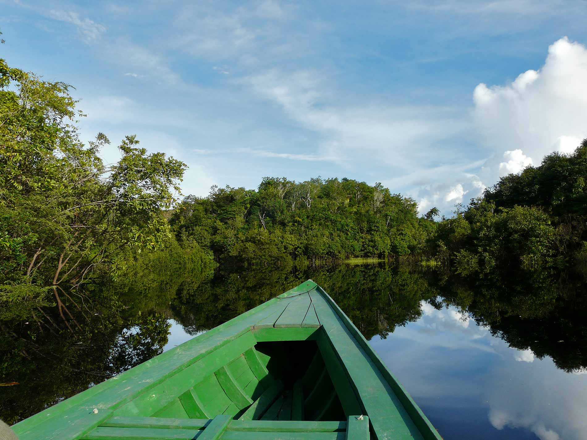 Tambopata Tours 4 Dias