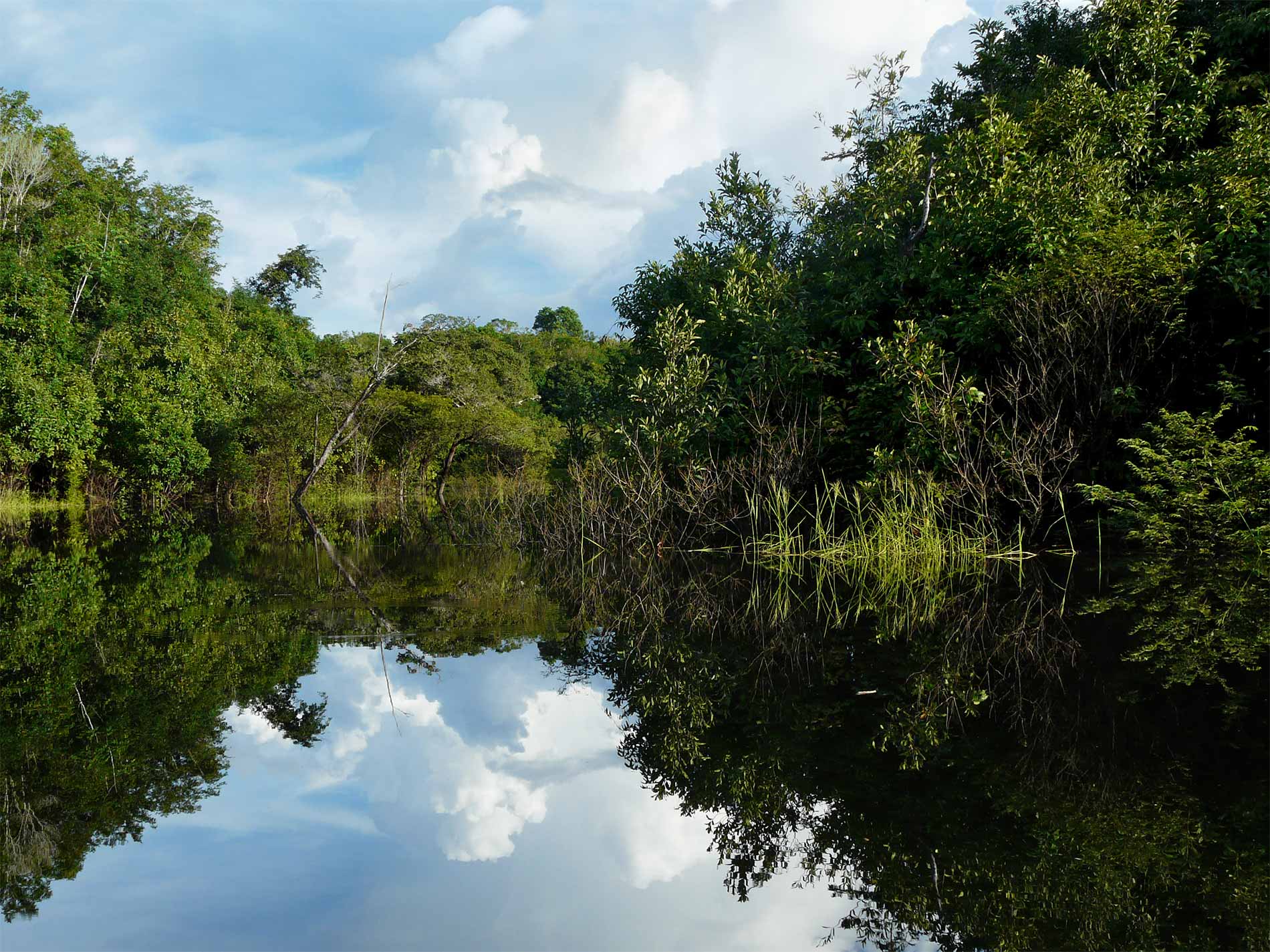 Tambopata Tours 4 Dias